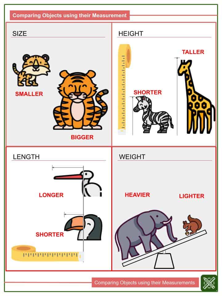 Comparing Objects using their Measurements Worksheets