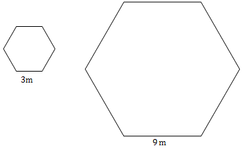 two similar polygons